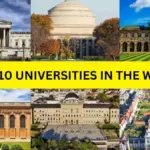 Where Can You Find the Best University in the World?