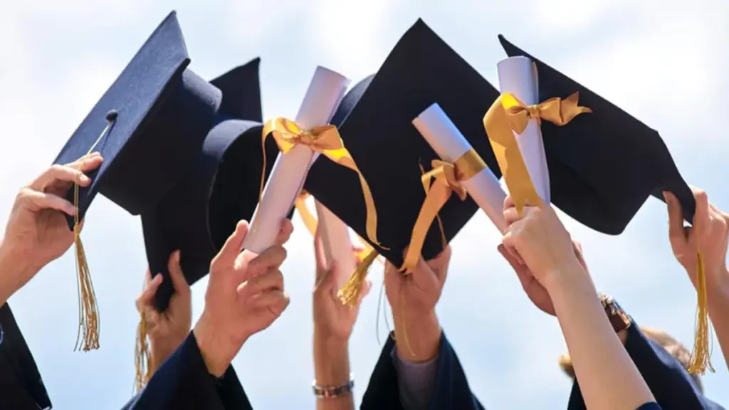 Which University Scholarship Programs Offer the Most Benefits?